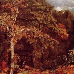 Wooded Landscape